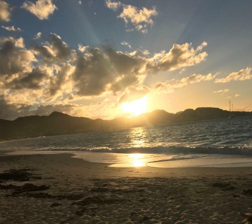 Sxm Spotters Paradise Lowlands Luaran gambar